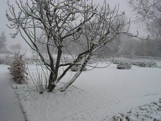 Sneeuwdek 23 nov 2008